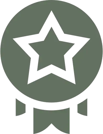 Expertise icon