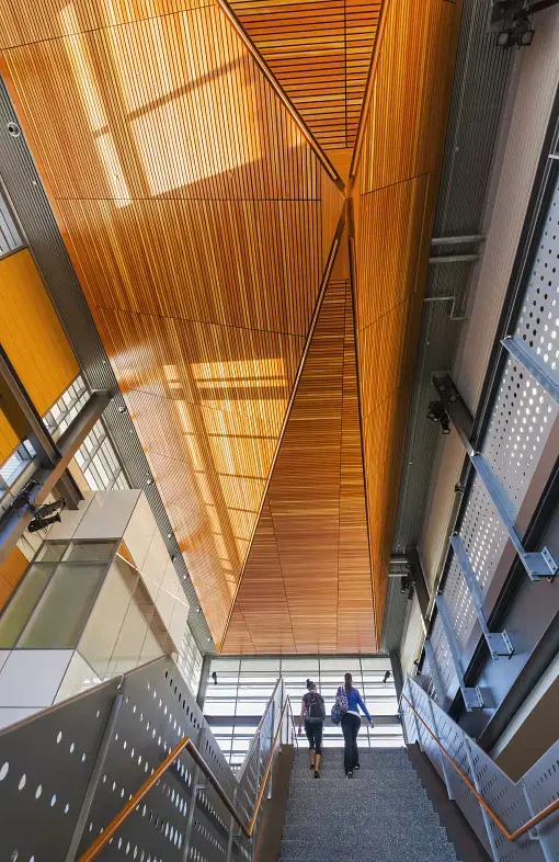 Sk certainteed ceilings wood panelized linear gallery